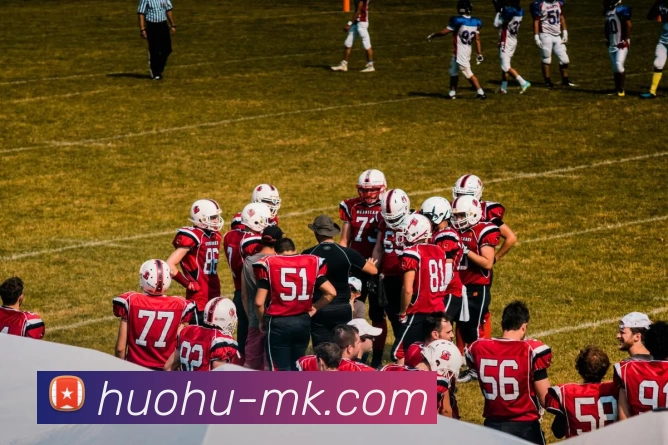 MK体育平台生态图